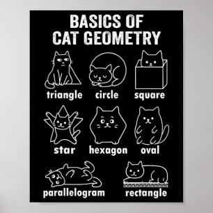 Póster Física divertida de la geometría del gato de vuelt