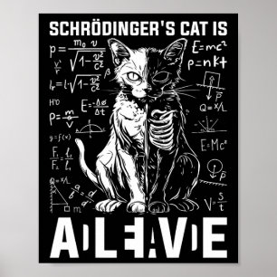 Póster Física viva y muerta del gato de Schrodinger