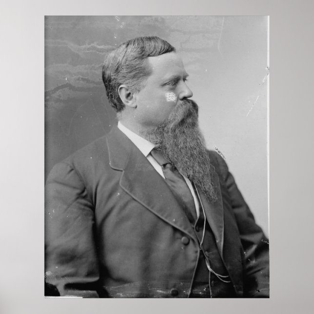 Póster Fitzhugh Lee (Frente)