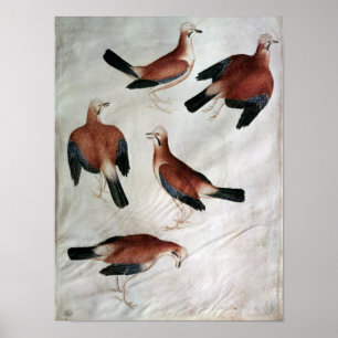 Póster Five Jays, del álbum Vallardi