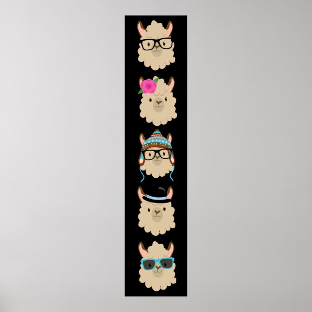 Póster Five Llamas Funny (Frente)