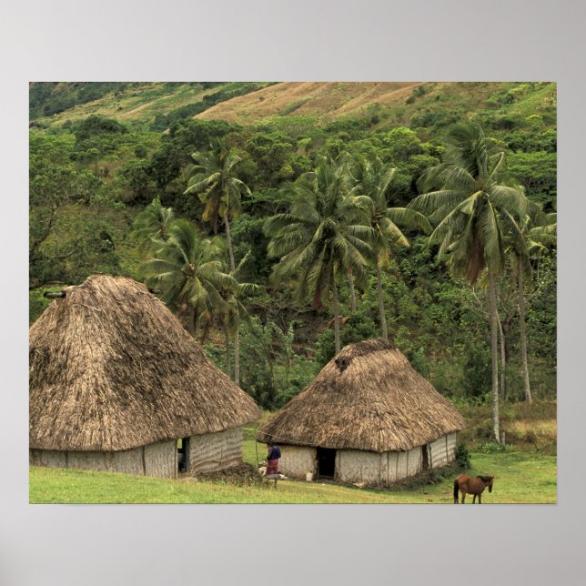 Póster Fiyi, Viti Levu, Navala, casas Bure tradicionales (Frente)