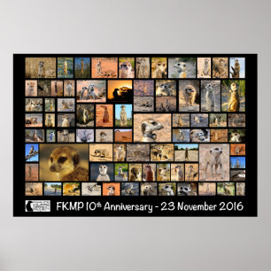 Póster FKMP 10th Anniversary Poster - select your size