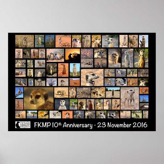 Póster FKMP 10th Anniversary Poster - select your size (Frente)