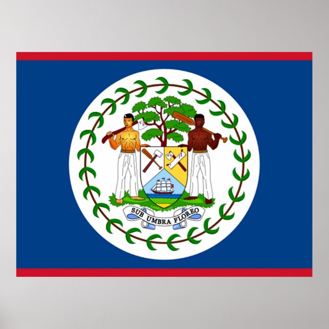 Póster Flag of Belize (Frente)