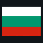 Póster Flag of Bulgaria<br><div class="desc">Bulgarian flag,  Bulgaria,  eastern Europe,  Balkans,  black sea,  Sofia,  greek,  Slovak,  ottoman,  volcanoes,  bulgarian,  travel,  adventure,  culture,  cat,  island,  anime,  vintage,  explore,  hiking,  Mother Earth,  environmentalist,  conservation,  wildlife, </div>