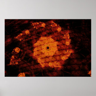 Póster Flagrante fragante