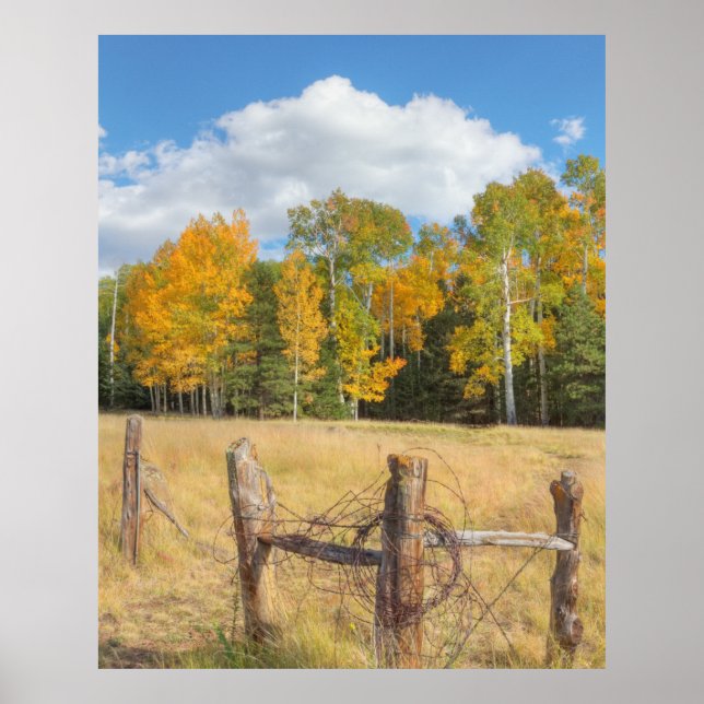 Póster Flagstaff meadow (Frente)