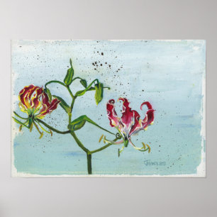 Póster Flame Lily por Cheryl Jowers