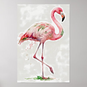 Póster Flamenco Rosa Acuarela Tropical Sobre Blanco