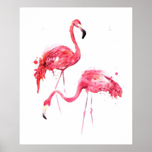 Póster Flamencos acuáticos