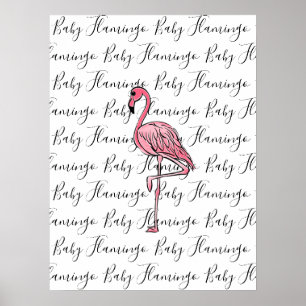 Póster Flamencos flamingo rosa, ave tropical rosa