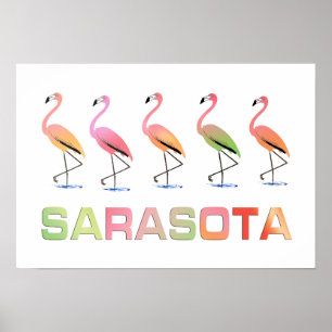 Póster Flamencos que marchan Sarasota