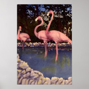 Póster Flamencos rosados, la Florida