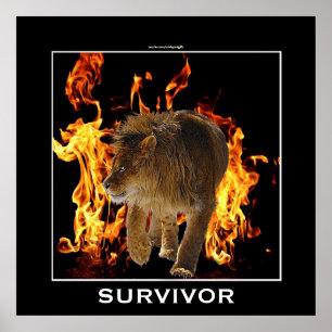 Póster Flaming Fire & Lion SURVIVOR Motivational Poster
