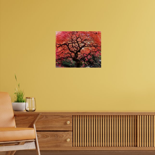 Póster Flaming Gnarly Japanese Maple Tree (Salón 2)