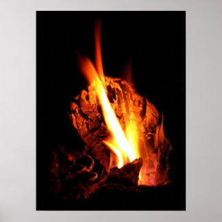 Póster Flaming Hollow