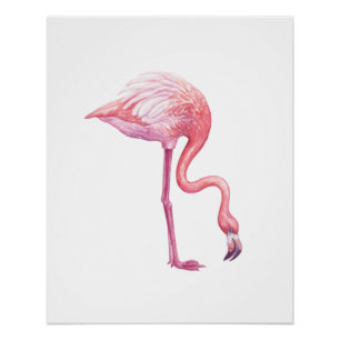 Póster Flamingo
