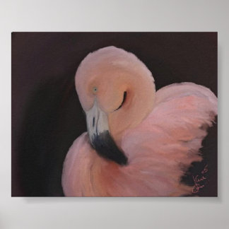 Póster Flamingo