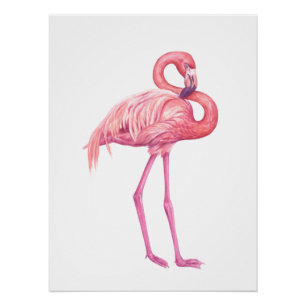 Póster Flamingo 2