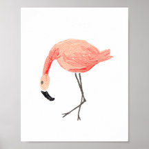 Flamingo 2