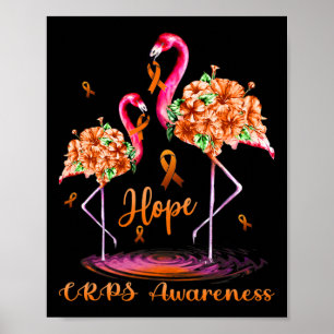 Póster Flamingo Crps Conciencia