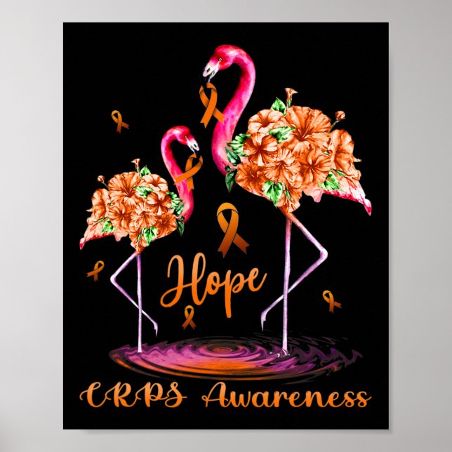 Póster Flamingo Crps Conciencia (Frente)