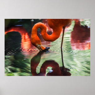 PÓSTER FLAMINGO DE ROPA
