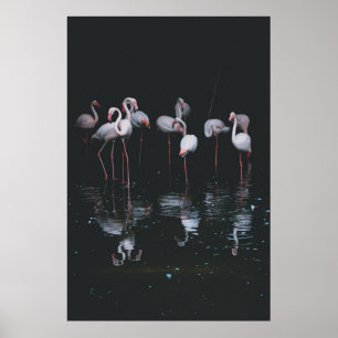 PÓSTER FLAMINGO EN EL FONDO OSCURO