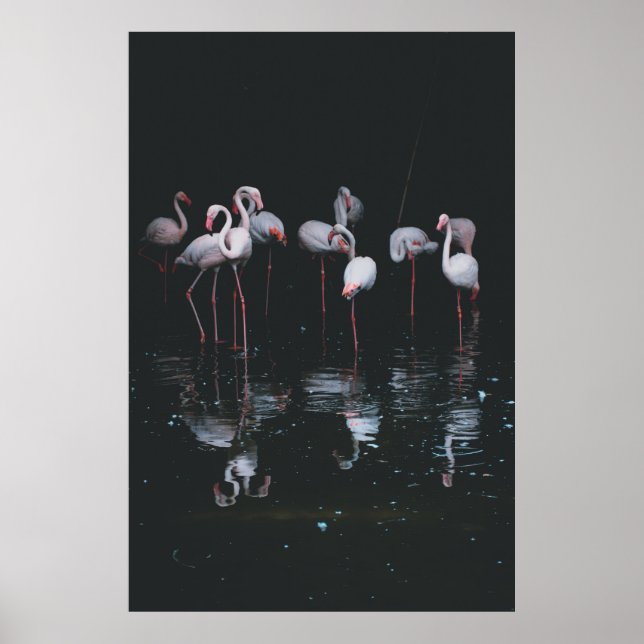 PÓSTER FLAMINGO EN EL FONDO OSCURO (Frente)