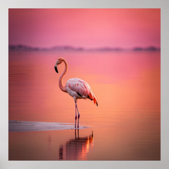 Póster Flamingo Grace Blush Gold (Frente)