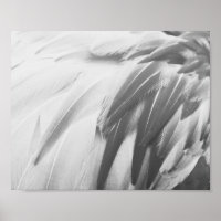 Flamingo Monocromo Flamingo Fethers Printable Art