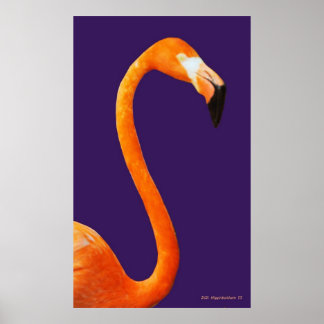 Póster Flamingo On Blue