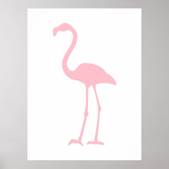 Póster Flamingo rosa (Frente)
