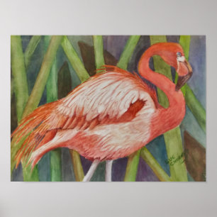 Póster Flamingo rosa excepcional
