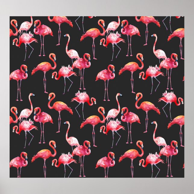 Póster Flamingo Rosa: Patrón acuarela tropical. (Frente)