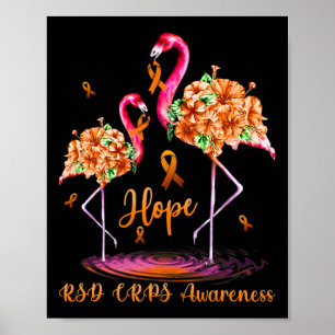 Póster Flamingo Rsd Crps Conciencia 1