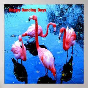 Póster Flamingos de los días de baile feliz