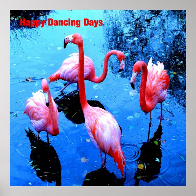 Póster Flamingos de los días de baile feliz (Frente)