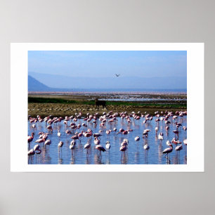 PÓSTER FLAMINGOS EN EL ÁREA DE AGUA LAGO EN KENIA