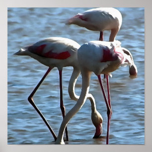 Póster Flamingos Tiempo De Alimentación Pintado Acrílico