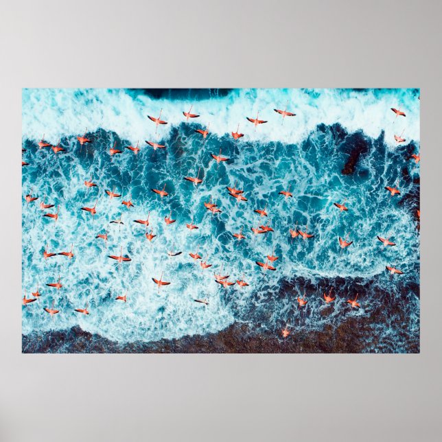 Póster Flamingos volando en la playa del mar caribe, Lo (Frente)