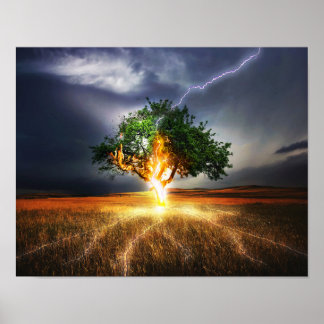 Póster flash-845848 ÁRBOL DE ILUMINACIÓN DE LA FANTASÍA B