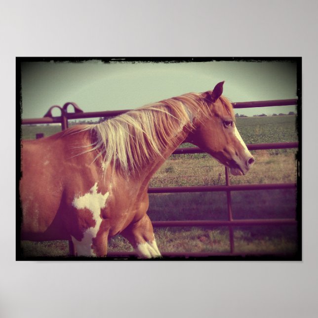 Póster Flashy (Frente)