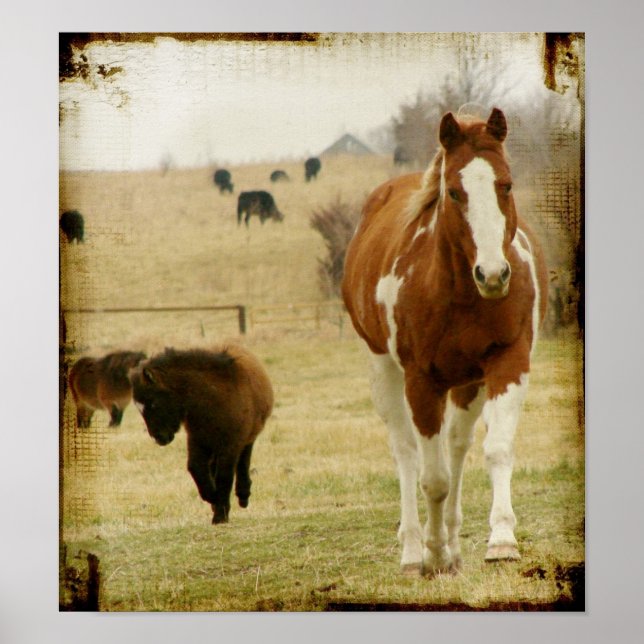 Póster Flashy y el Mini Caballo llenos (Frente)