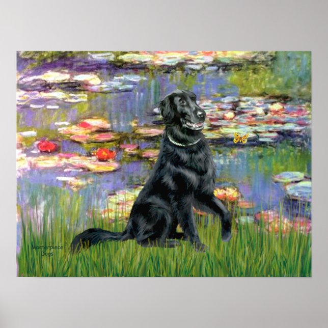 Póster Flat Coated Retriever 2 - Lirios 2 (Frente)
