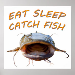 Póster Flathead Catfish