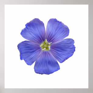 Póster Flaux azul #1