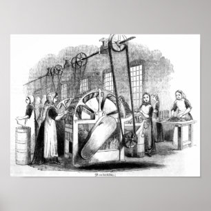 Póster Flax Heckling