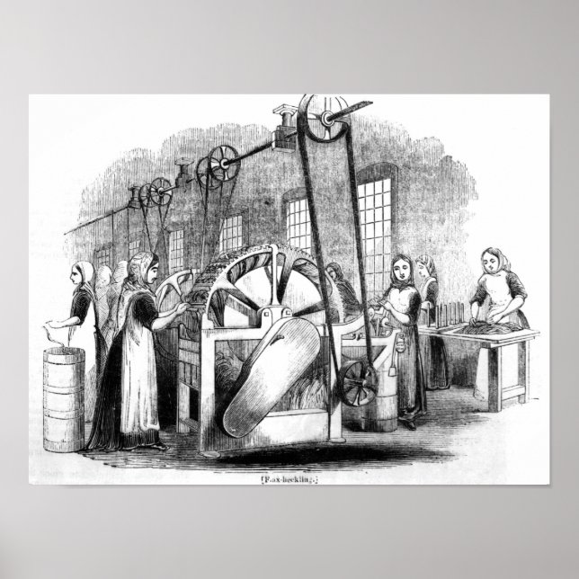 Póster Flax Heckling (Frente)